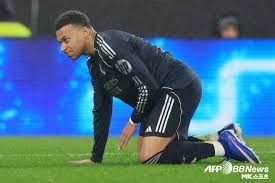 樊振东MVP加冕，萨尔布吕肯俱乐部夺冠